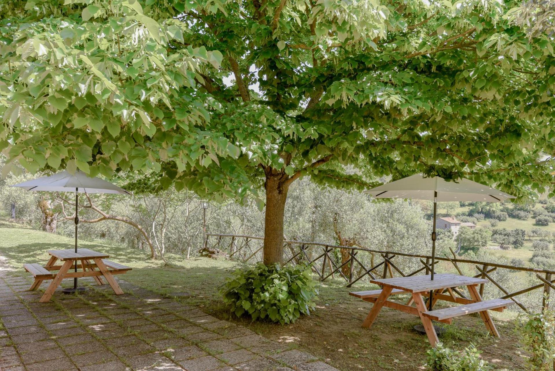מאג'ונה Agriturismo Il Mulino Delle Canutole מראה חיצוני תמונה