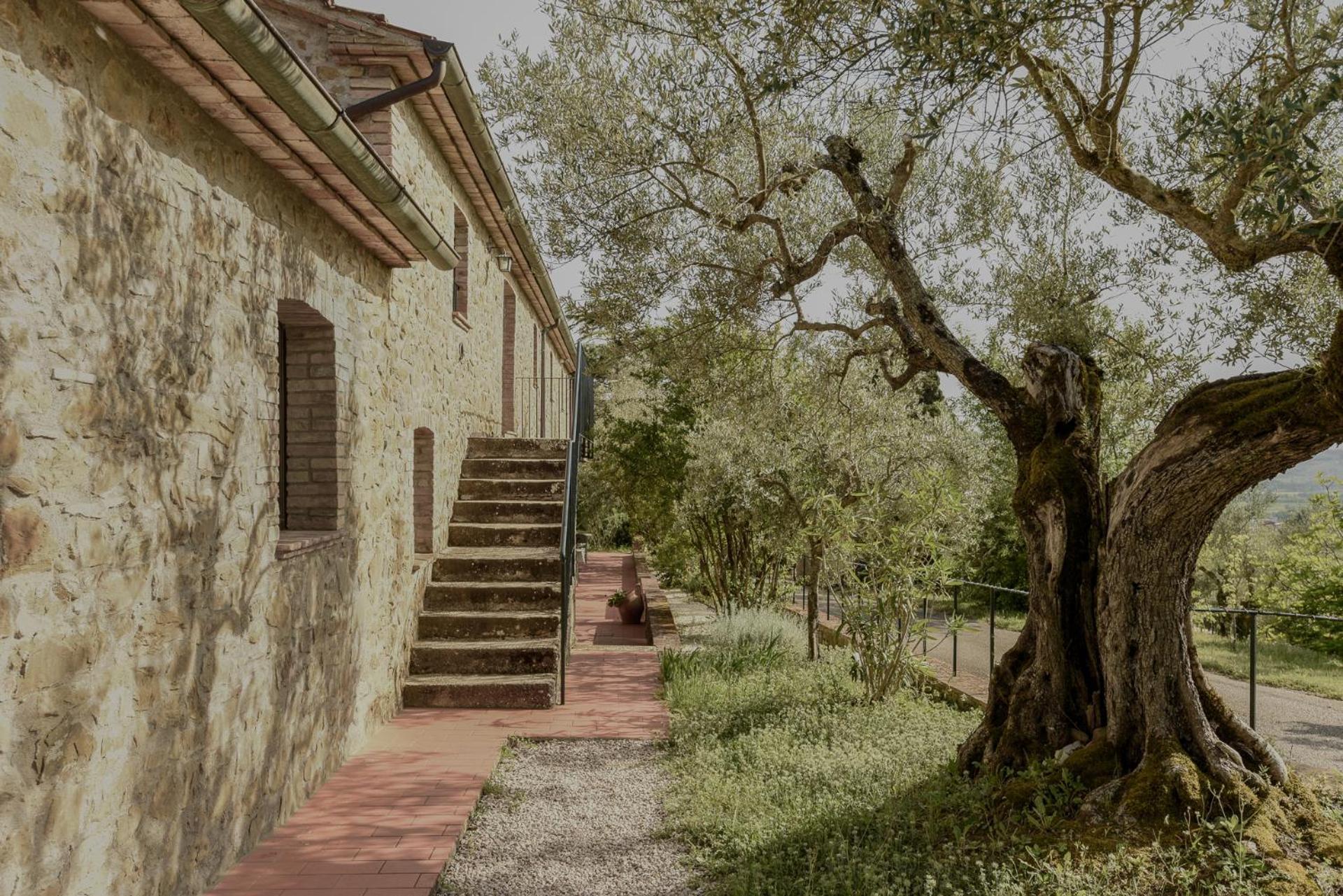 מאג'ונה Agriturismo Il Mulino Delle Canutole מראה חיצוני תמונה
